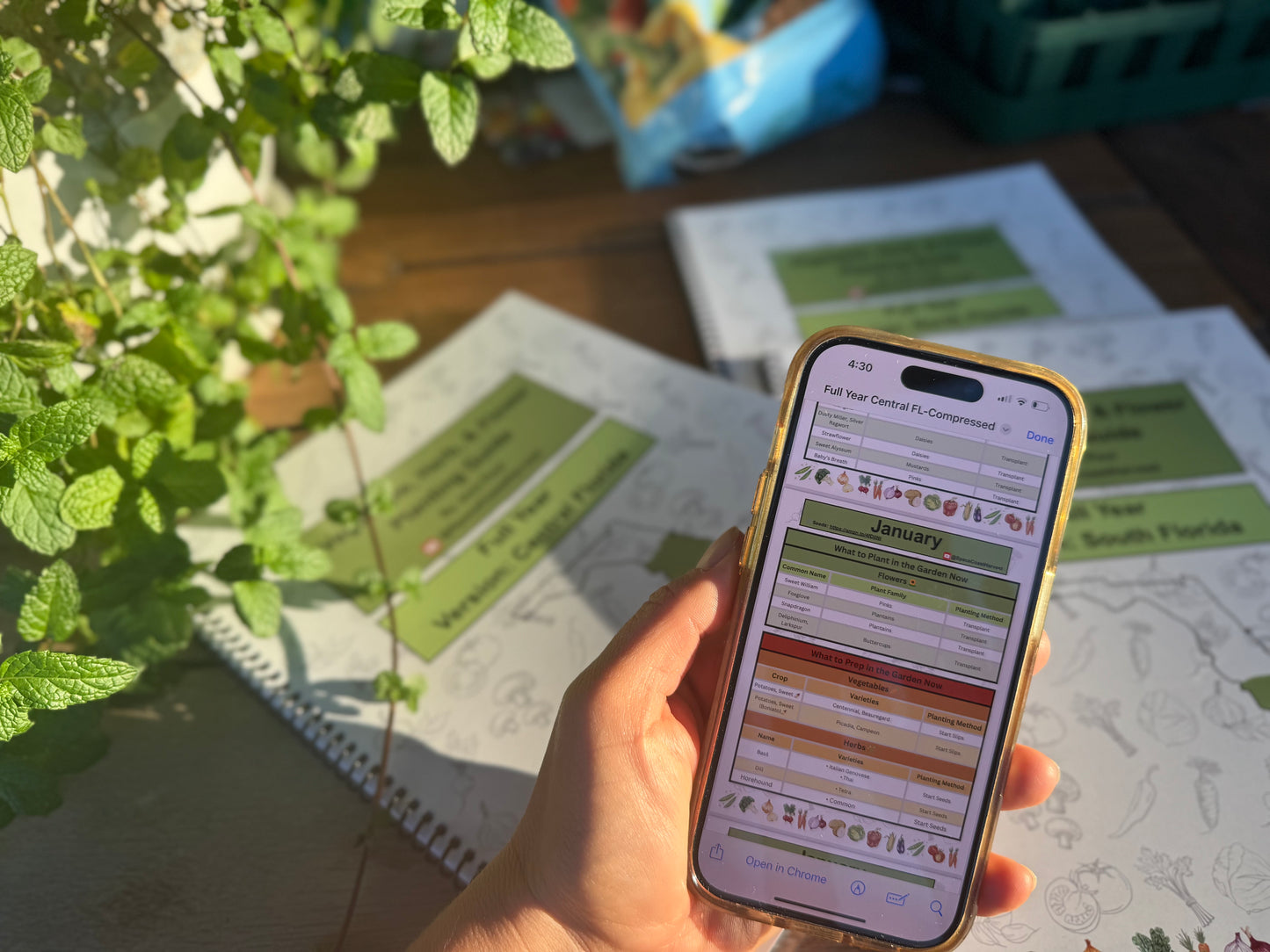 Florida Planting Guide (Digital Download)