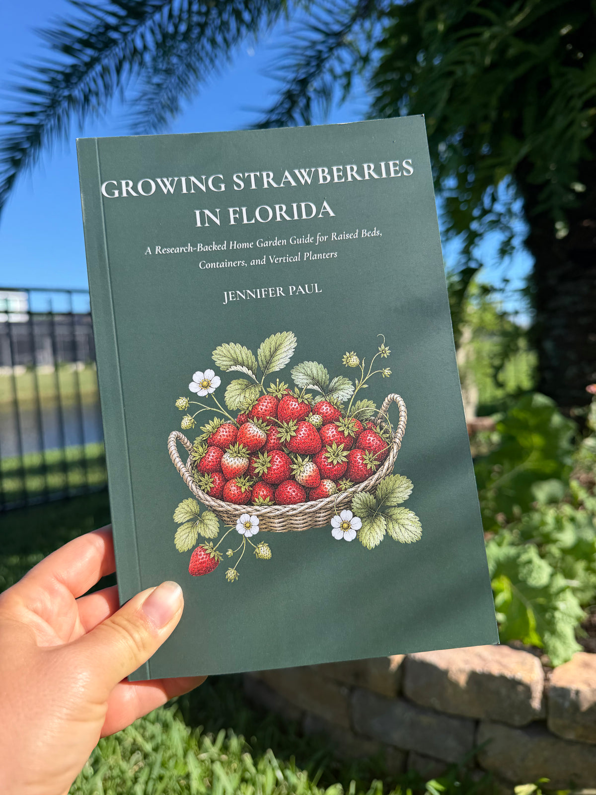 Growing Strawberries in Florida