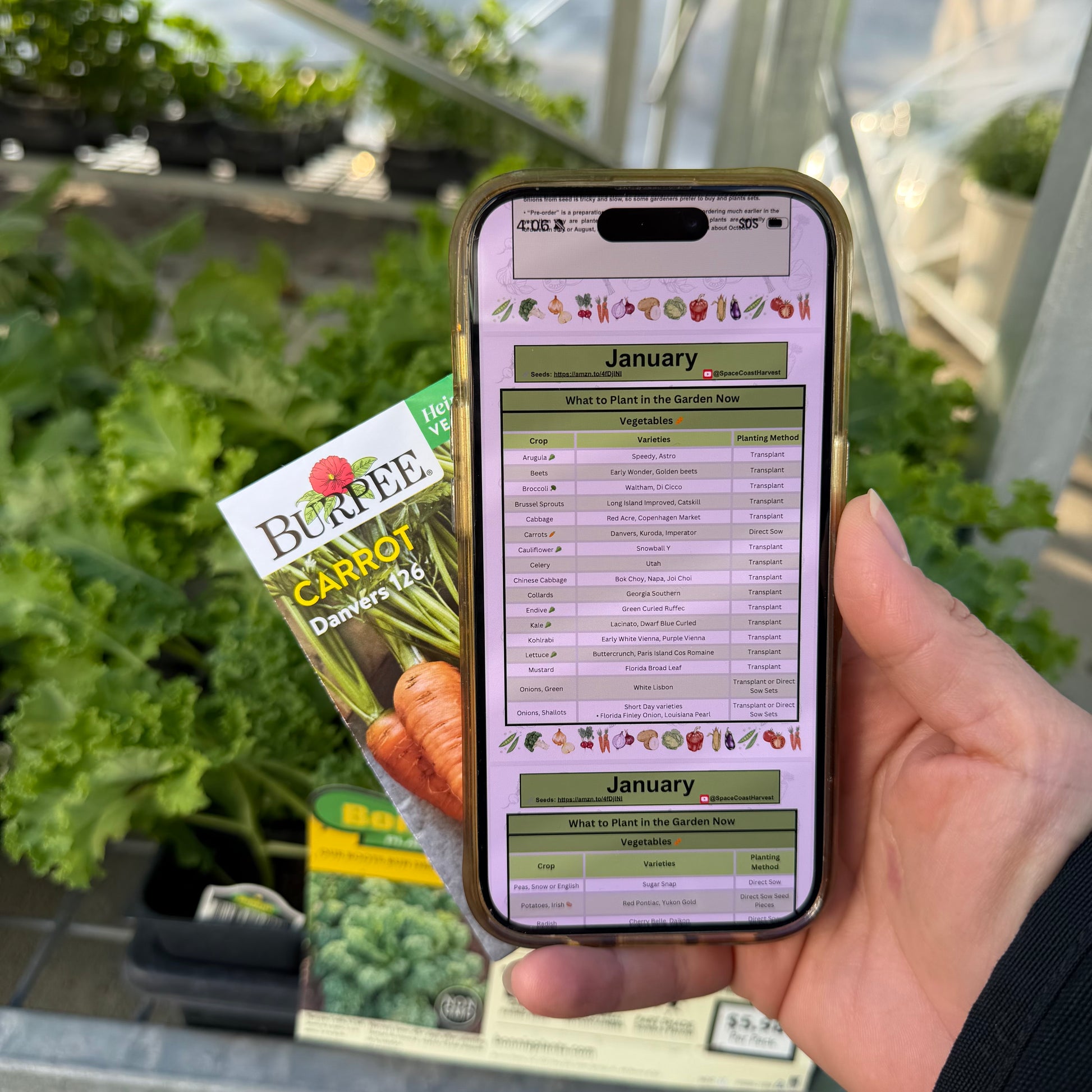 west coast seeds planting chart 2024 Florida Planting Guide (Digital Download) – Space Coast Harvest